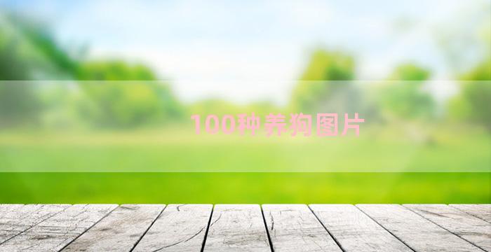 100种养狗图片