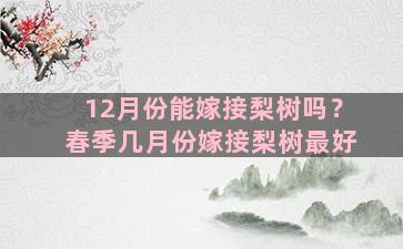 12月份能嫁接梨树吗？春季几月份嫁接梨树最好