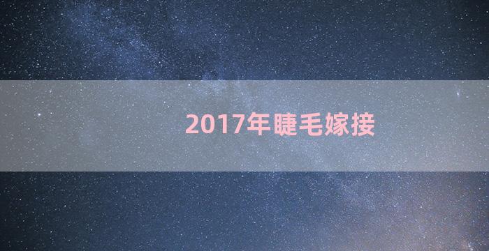 2017年睫毛嫁接