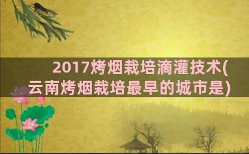 2017烤烟栽培滴灌技术(云南烤烟栽培最早的城市是)