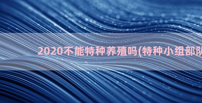 2020不能特种养殖吗(特种小组部队2020)