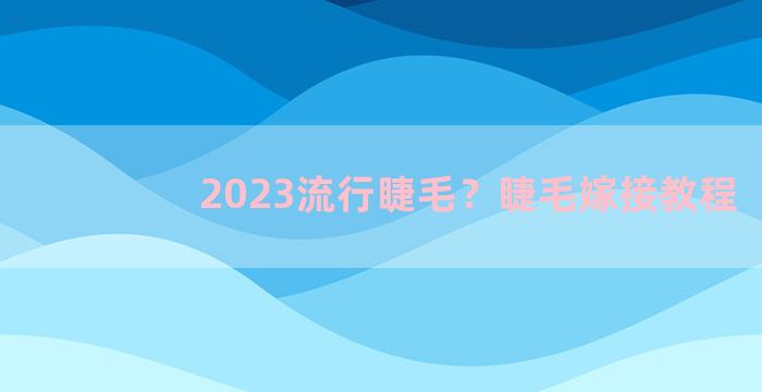 2023流行睫毛？睫毛嫁接教程