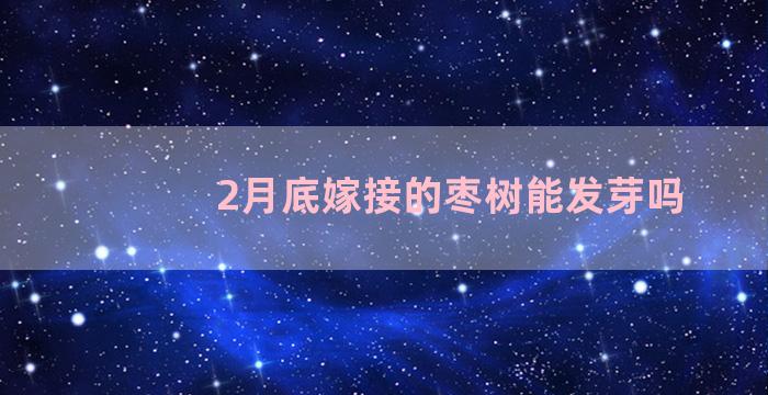 2月底嫁接的枣树能发芽吗