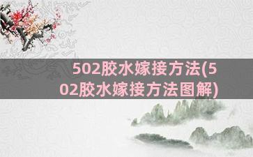 502胶水嫁接方法(502胶水嫁接方法图解)