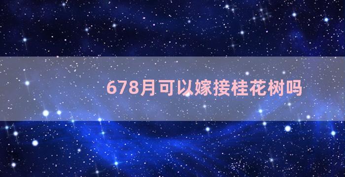 678月可以嫁接桂花树吗