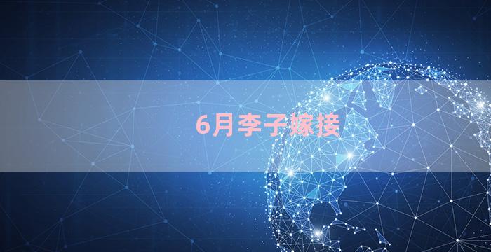 6月李子嫁接