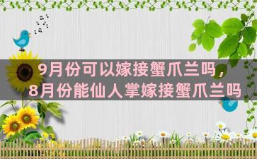 9月份可以嫁接蟹爪兰吗，8月份能仙人掌嫁接蟹爪兰吗