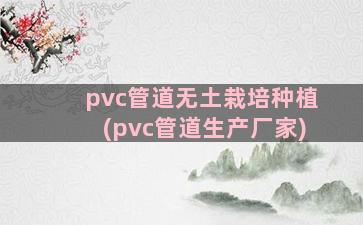 pvc管道无土栽培种植(pvc管道生产厂家)