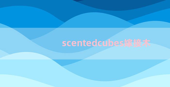 scentedcubes嫁接木