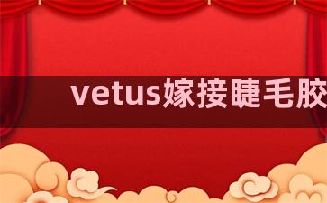 vetus嫁接睫毛胶水