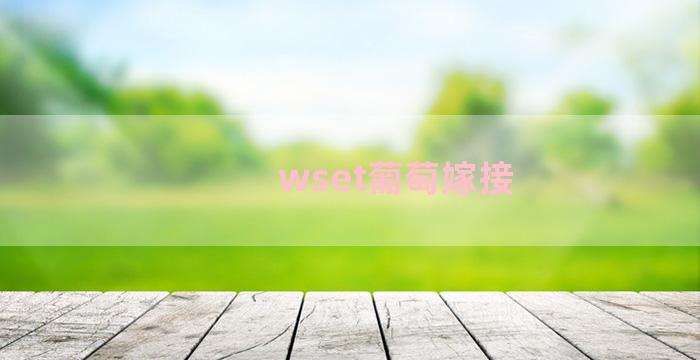 wset葡萄嫁接