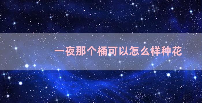 一夜那个桶可以怎么样种花