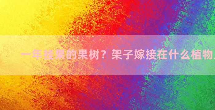 一年挂果的果树？架子嫁接在什么植物上结的多