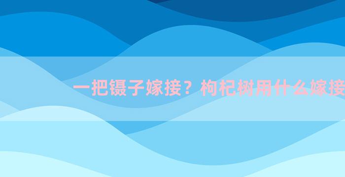 一把镊子嫁接？枸杞树用什么嫁接