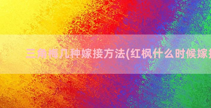 三角梅几种嫁接方法(红枫什么时候嫁接最好)