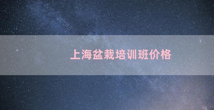 上海盆栽培训班价格