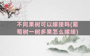 不同果树可以嫁接吗(葡萄树一树多果怎么嫁接)