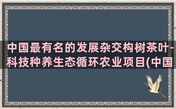 中国最有名的发展杂交构树茶叶-科技种养生态循环农业项目(中国最有名的作者)