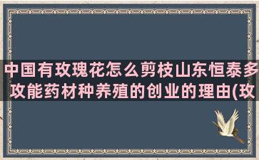 中国有玫瑰花怎么剪枝山东恒泰多攻能药材种养殖的创业的理由(玫瑰花种子怎么种)