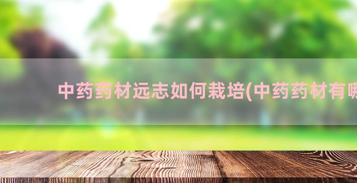 中药药材远志如何栽培(中药药材有哪些)