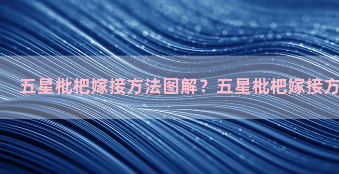 五星枇杷嫁接方法图解？五星枇杷嫁接方法图解大全