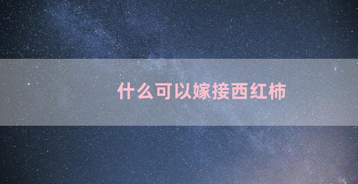 什么可以嫁接西红柿