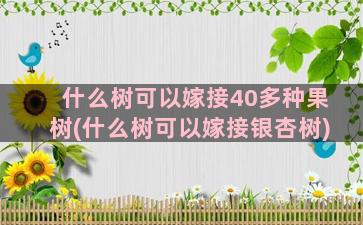 什么树可以嫁接40多种果树(什么树可以嫁接银杏树)