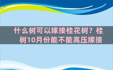 什么树可以嫁接桂花树？桂树10月份能不能高压嫁接