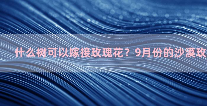 什么树可以嫁接玫瑰花？9月份的沙漠玫瑰能嫁接吗