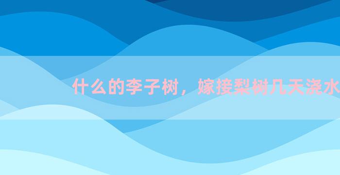 什么的李子树，嫁接梨树几天浇水