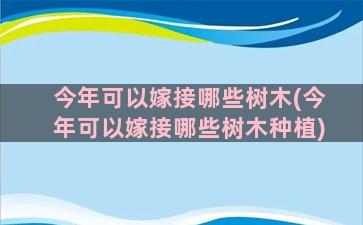 今年可以嫁接哪些树木(今年可以嫁接哪些树木种植)