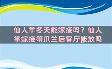 仙人掌冬天能嫁接吗？仙人掌嫁接蟹爪兰后客厅能放吗