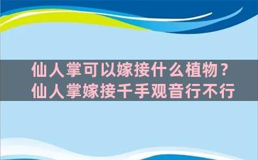 仙人掌可以嫁接什么植物？仙人掌嫁接千手观音行不行