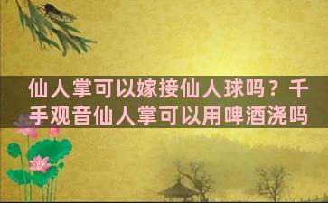 仙人掌可以嫁接仙人球吗？千手观音仙人掌可以用啤酒浇吗