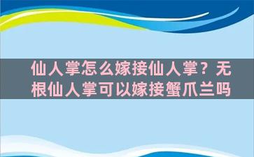 仙人掌怎么嫁接仙人掌？无根仙人掌可以嫁接蟹爪兰吗