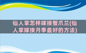 仙人掌怎样嫁接蟹爪兰(仙人掌嫁接月季最好的方法)