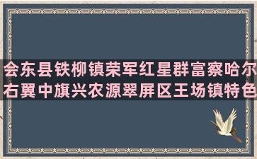 会东县铁柳镇荣军红星群富察哈尔右翼中旗兴农源翠屏区王场镇特色裕民天健江阴市兴达种养殖专业合作(会东县铁柳镇镇长是谁)