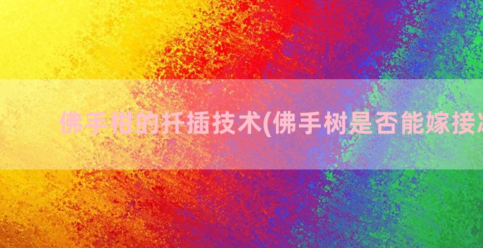 佛手柑的扦插技术(佛手树是否能嫁接冰糖桔)