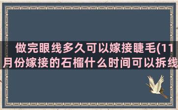 做完眼线多久可以嫁接睫毛(11月份嫁接的石榴什么时间可以拆线)