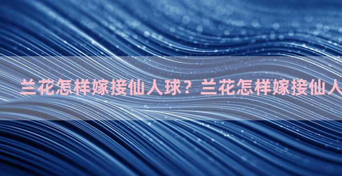 兰花怎样嫁接仙人球？兰花怎样嫁接仙人球视频教程