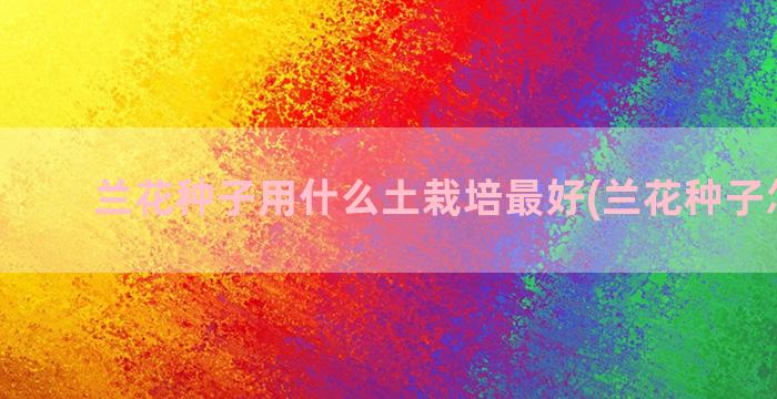 兰花种子用什么土栽培最好(兰花种子怎么种)