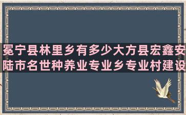 冕宁县林里乡有多少大方县宏鑫安陆市名世种养业专业乡专业村建设