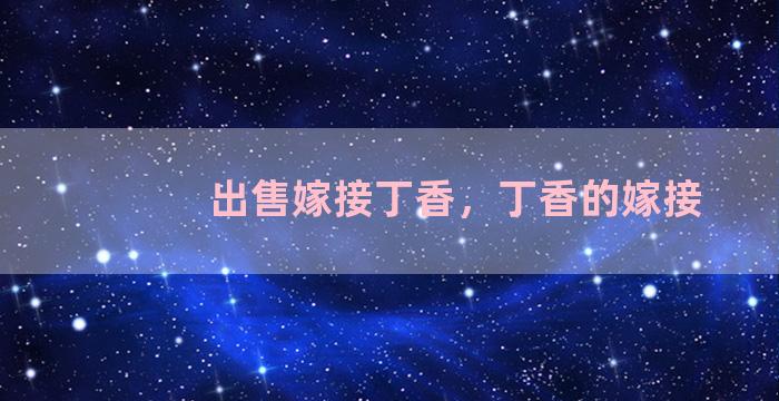 出售嫁接丁香，丁香的嫁接