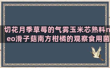 切花月季草莓的气雾玉米芯熟料neo滑子菇南方柑橘的观察食用菌怎样肉肉植物如何萝卜的栽培与管理(切花月季怎么种植)