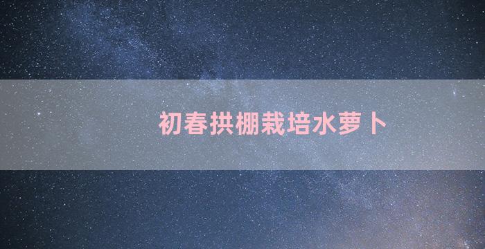 初春拱棚栽培水萝卜