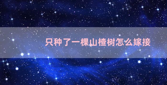 只种了一棵山楂树怎么嫁接