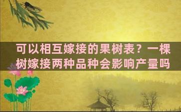 可以相互嫁接的果树表？一棵树嫁接两种品种会影响产量吗