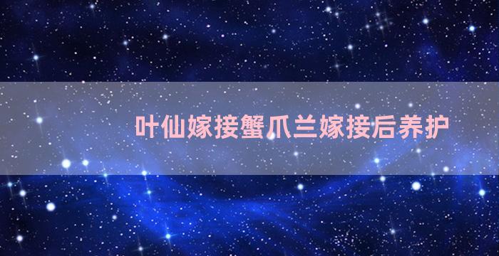 叶仙嫁接蟹爪兰嫁接后养护