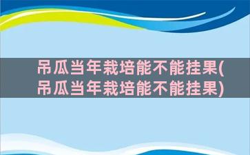 吊瓜当年栽培能不能挂果(吊瓜当年栽培能不能挂果)