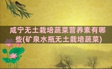 咸宁无土栽培蔬菜营养素有哪些(矿泉水瓶无土栽培蔬菜)